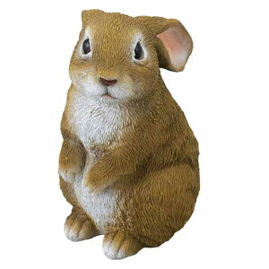 Mtg K[fu Z[uC_Xg[ ~j K[fu Mtg K[fu 1000~ lC 1000~ hV v[g Cxg Z[ sale