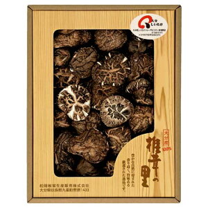 yN[|Lz Ε ~Mtg  MtgZbg  qő̗r啪Yőǂ  MtgZbg  3000~ lC 3000~ hV v[g 