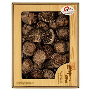 Ε ~Mtg  MtgZbg  yz qő̗r啪Yőǂ  MtgZbg  5000~ lC 5000~ hV v[g C