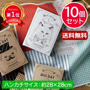 �_�y�V1�ʁ^ �v�`�M�t�g �ސE �^�I�� �y���������z Nice Cats!�y10�Z�b�g�z �n���J�` �v�`�M�t�g �ސE �Y�x ���肪�Ƃ� �v�`�M�t�g �n���J�` 5000�~ �l�C 4000�~�� �h�V�� �v���[���g �C�x���g �n