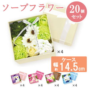 Ε ~Mtg ٓ ސE  yz JtBOX \[vt[y20Zbgz \[vt[ ԃMtg ސE Yx 肪Ƃ hV v[g fCT[rX ԃMtg \[