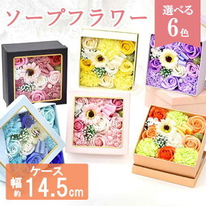 yN[|Lz Ε ~Mtg ٓ ސE  yz tBOX Jt\[vt[ \[vt[ ԃMtg ސE Yx 肪Ƃ hV v[g fCT[rX ԃM