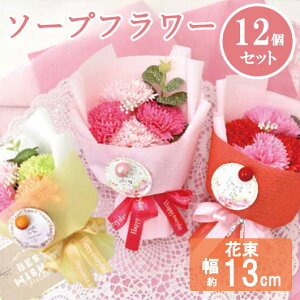 yN[|Lz Ε ~Mtg ٓ ސE  yz J[l[V~ju[P12Zbgi\[vt[j \[vt[ ԃMtg ސE Yx 肪Ƃ hV v[g 