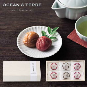 yN[|Lz Ε ~Mtg ~Zbg Ε Mtg Premium@IB썂~@6@ؔ ~Zbg I[Ve[ Ε ~Mtg  oY j TԂ Cj 