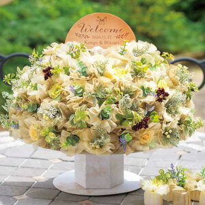 yN[|Lzy20%OFFz NX}X َq  yz O[h[@50Zbg NbL[IuWF v`Mtg َq v`Mtg  NbL[IuWF lC hV v[