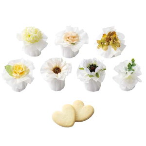 yN[|Lzy10%OFFz NX}X َq  yz XeBbNn[gPi NbL[ v`Mtg َq v`Mtg NbL[ 300~ lC 200~ hV v[g Cxg 