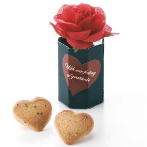 yN[|Lzy10%OFFz NX}X َq  yz [X[W@Pi NbL[ v`Mtg َq v`Mtg NbL[ 300~ lC 300~ hV v[g Cxg 