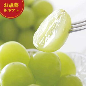 yN[|Lz Ε ~Mtg Ԃǂ Ε ~Mtg yz _Cʉ VC}XJbg Ԃǂ Ε ~Mtg  oY j TԂ Cj Ԃ  MtgZb