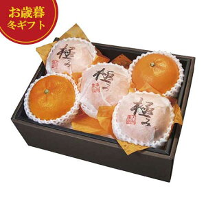 yN[|Lz Ε ~Mtg ݂ Ε ~Mtg yz _Cʉ QY g܂ǂ ݂ Ε ~Mtg  oY j TԂ Cj Ԃ  MtgZ