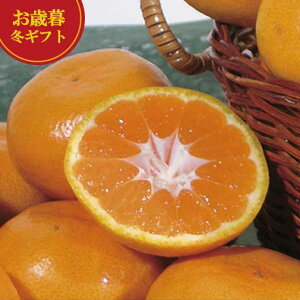 yN[|Lz Ε ~Mtg ݂ Ε ~Mtg yz _Cʉ a̎RY cM݂ ݂ Ε ~Mtg  oY j TԂ Cj Ԃ  Mt