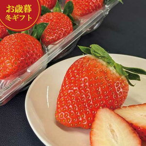 yN[|Lz Ε ~Mtg ʕZbglߍ킹 Ε ~Mtg yz  Y Hה׃Mtg ʕZbglߍ킹 Ε ~Mtg  oY 