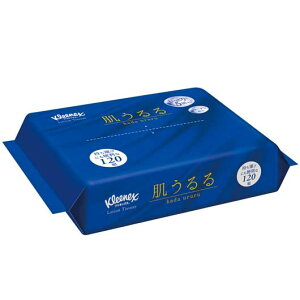 yN[|Lz ̑i eBbVy[p[ yz y240PʁzNlbXNX@[VeBV[\tgpbN120W eBbVy[p[ ̑i eBbVy[p[ 300