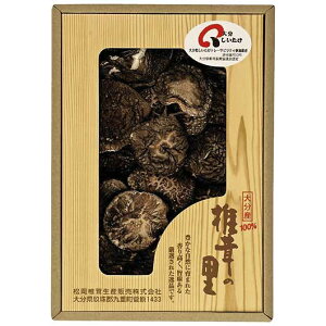 �y�N�[�|���L�z ���Ε� �~�M�t�g �������� �M�t�g �������� �y���������z �q�ő��̗��r�啪�Y�ő��������� �������� �M�t�g �������� 3000�~ �l�C 2000�~�� �h�V�� �v���[���g �C�x���g ���Y 