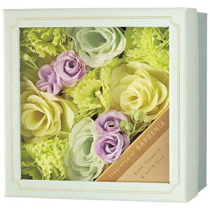 Ε ~Mtg Mtg  yz fCYCu[ oXt[Mtg K[fjA  Mtg  4000~ lC 3000~ hV v[g Cxg oX\g  