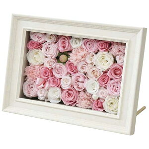 yN[|Lz Ε ~Mtg Mtg  yz vUAWit[^Cvj  Mtg  lC hV v[g Cxg Z[ sale