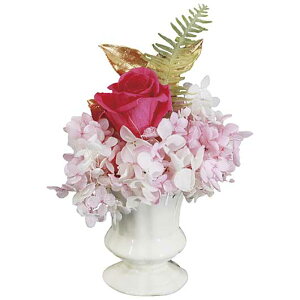 yN[|Lz Ε ~Mtg Mtg  yz qvU[uht[ S[hV[Yr[YS[h sN  Mtg  5000~ lC 5000~ hV v[g Cx