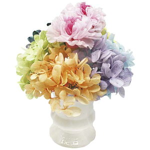 yN[|Lz Ε ~Mtg Mtg  yz qvU[uht[rȂȂ  Mtg  7000~ lC 7000~ hV v[g Cxg Z[ sale