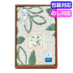 yN[|Lz Ε ~Mtg Mtg փ}bg yz neCXg@փ}bg@O[@095452GRqO[r փ}bg Mtg փ}bg 5000~ lC 5000~ hV v