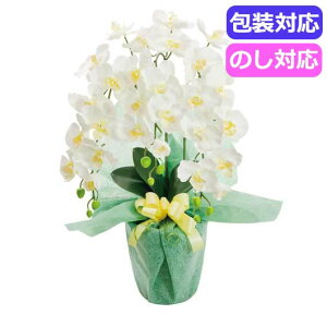 yN[|Lz Ε ~Mtg Mtg  yz SCG}H@v`iӒiA[eBtBVt[j@zCgCG[@HCA2|WY|23qzCgCG[r  Mtg 