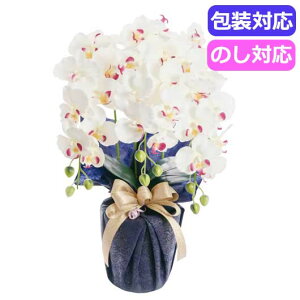 yN[|Lz Ε ~Mtg Mtg  yz SCG}H@v`iӒiA[eBtBVt[j@zCgr[eB[@HCA2|WB|23qzCgr[eB[r 