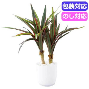 yN[|Lz Ε ~Mtg Mtg  yz SCG}H@~jϗt@~jbJitFCNO[j@@1131KS|W  Mtg  4000~ lC 4000~ hV v[g 