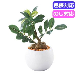 yN[|Lz  Mtg  yz SCG}H@~jϗt@KW}itFCNO[j@@HSP|LE|23  Mtg  5000~ lC 5000~ hV v[g Cxg 