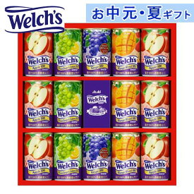 【P最大46倍】 内祝 ギフト お中元 【送料無料】 ウェルチ ウェルチギフト 野菜・果実飲料 お中元 ギフト 御中元 お返し お礼 ギフトセット お菓子 詰め合わせ お中元 ギフト 野菜・果実飲料 3000円 人気 3000円台 敬老会 プ