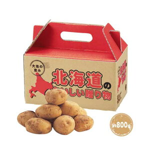 y43%OFFz ̑i Ⴊ yz y30Pʁzňb݁@kCYႪ800g Ⴊ ̑i  Ⴊ 600~ lC 500~ hV v[g Cxg Y Z[ sa