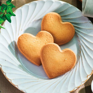 yN[|Lz NX}X َq  yz y40PʁzAEVpeBG@킹Tu3 NbL[ v`Mtg َq Mtg NbL[ 600~ lC 600~ hV