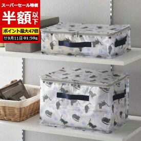 【SALE〜11日1:59】【50%OFF】 雑貨・小物 収納ボックス・ケース 【半額】 パッコ／クリア収納ボックスセット 収納ボックス・ケース 即納 雑貨・小物 激安 収納ボックス・ケース 500円 人気 500円台 敬老会 プレゼント イ