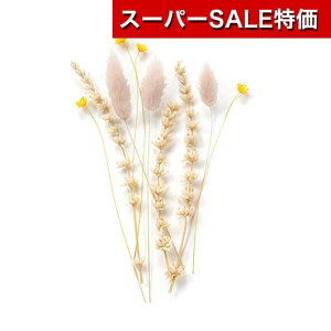 yN[|Lzy11%OFFz YN v[g 1000~ Vygt[ix[WsNjǉpt[i10{j EFJ{[h oObY  EFJ{[h 800~ lC 800~