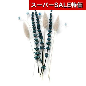 yN[|Lzy11%OFFz YN v[g 1000~ Vygt[iAbVu[jǉpt[i10{j EFJ{[h oObY  EFJ{[h 800~ lC 800~