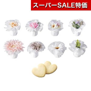 yN[|Lzy20%OFFz NX}X َq  yz NVbN[Pi NbL[ v`Mtg َq v`Mtg  NbL[ 300~ lC 200~ hV v[g  