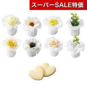 yN[|Lzy20%OFFz NX}X َq  yz XeBbNn[gPi NbL[ v`Mtg َq v`Mtg  NbL[ 300~ lC 200~ hV v[g 