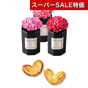 yN[|Lzy20%OFFz NX}X َq  yz [XX}C@[@Pi pC v`Mtg َq v`Mtg  pC 200~ lC 200~ hV v[g  