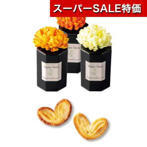 yN[|Lzy20%OFFz NX}X َq  yz [XX}C@IW@Pi pC v`Mtg َq v`Mtg  pC 200~ lC 200~ hV v[g 