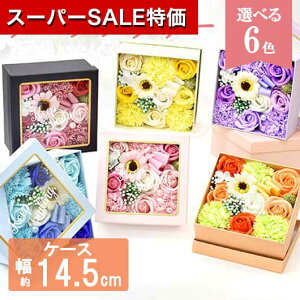 yN[|Lzy10%OFFz Ε ~Mtg ٓ ސE  yz tBOX Jt\[vt[ \[vt[ ԃMtg ސE Yx 肪Ƃ hV v[g fCT[r