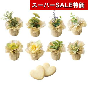 yN[|Lzy10%OFFz NX}X َq  yz O[h[@Pi NbL[ v`Mtg َq v`Mtg NbL[ 300~ lC 200~ hV v[g Cxg 