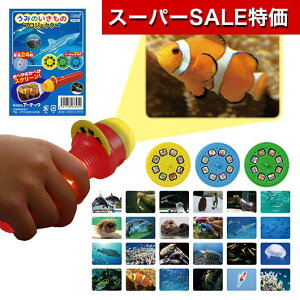 yN[|Lzy10%OFFz YN v[g 1000~ yz ݂̂̃vWFN^[  zr[  800~ lC 800~ hV v[g Cxg Z[ sale