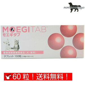 GM^u 10×6V[g(60)  Lp i|Xgցj