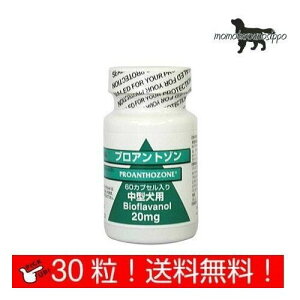  vAg] 20mg ^p  30JvZ  i|Xgցj