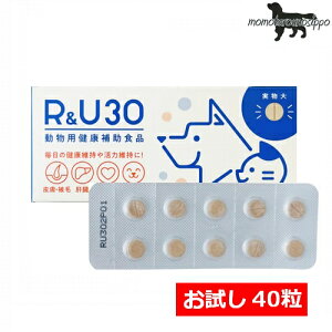 R&U30 10×4V[gLp   畆 E N⏕Hi