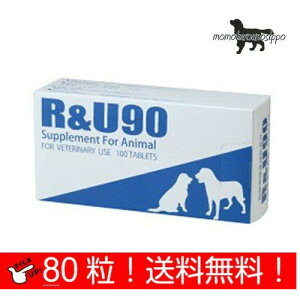  R&U90 p 10×8V[g (80) i|Xgցj