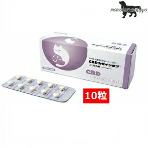 CBD J[C^u 10i10×1V[gj  |Xg