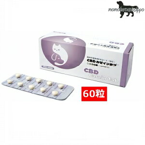 CBD J[C^u 60i10×6V[gj  |Xg