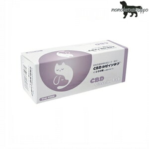 CBD J[C^u 100i10×10V[gj 