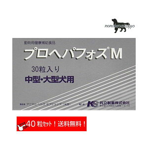  vwptHXM  (^E^pj ̏d29kg`30kg 14 10(10×4V[g) i|Xgցj