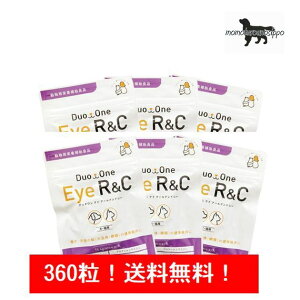 ���j���� DuoOne Eye R&C�i�����j���Eye R/C�j360�� �i60��×6��) ���L�p �����������I �i�|�X�g�����ցj