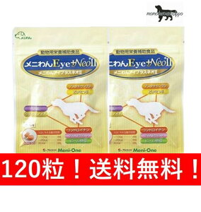 ���j�������j��� Eye +Neo II ���L�p 120���i60��×2�܁j�����������i�|�X�g�����ցj