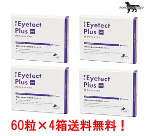 PE ACeNgvX y60z×4 pyQIXzyeBGX 